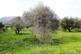 For sale:  land - Rodos (4114-446) | Dom2000.com