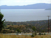 For sale:  land - Kassandra (4116-446) | Dom2000.com