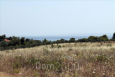 For sale:  land - Sithonia (7679-446) | Dom2000.com