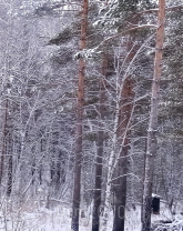 For sale:  land - Irkutsk city (10589-447) | Dom2000.com