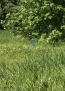 For sale:  land - 44 str., п. Novoklemovo (10383-451) | Dom2000.com #74663024
