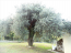 For sale:  home - Asprovaltа (5947-453) | Dom2000.com #39132053