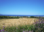 For sale:  land - Iraklion (crete) (4117-455) | Dom2000.com #24522869