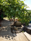 For sale:  home - переулок Нефтяной str., Herson city (9855-455) | Dom2000.com #69628224