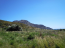 For sale:  land - Iraklion (crete) (4117-457) | Dom2000.com #24522878
