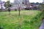 For sale:  home - Kassandra (4113-459) | Dom2000.com #24479865