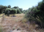 Продам земельный участок - Ираклио (Крит) (4117-462) | Dom2000.com #24522899