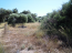 For sale:  land - Iraklion (crete) (4117-462) | Dom2000.com #24522899