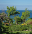 For sale:  home - Kassandra (4120-462) | Dom2000.com #24553817