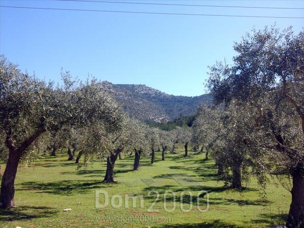 For sale:  land - Thasos (4118-463) | Dom2000.com