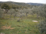 For sale:  land - Thasos (4118-463) | Dom2000.com #24533721