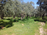 For sale:  land - Thasos (4118-465) | Dom2000.com