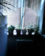 Lease 2-room apartment - Вацлава Гавела бульвар, 81 str., Solom'yanskiy (9184-466) | Dom2000.com #62727956