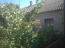 For sale:  home - улица Садовского, Herson city (9921-467) | Dom2000.com #69607967