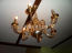 Lease 4-room apartment - Константиновская, 10, Podilskiy (9185-468) | Dom2000.com #62739852