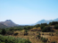 For sale:  home - Iraklion (crete) (4117-471) | Dom2000.com #24522997