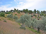 For sale:  land - Евія (7679-471) | Dom2000.com #51380243