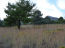 For sale:  land - Евія (7679-471) | Dom2000.com #51380245
