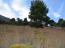 For sale:  land - Евія (7679-471) | Dom2000.com #51380246