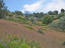 For sale:  land - Евія (7679-471) | Dom2000.com #51380248