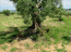 For sale:  land - Sithonia (4112-472) | Dom2000.com #24470210