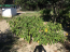 For sale:  home - Chalkidiki (4115-472) | Dom2000.com #24501407
