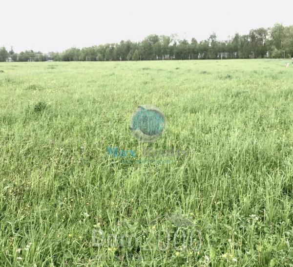 Продам магазин - д. Крекшино (10251-473) | Dom2000.com