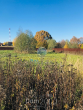 For sale:  land - Тенистая улица str., Russia (10324-473) | Dom2000.com
