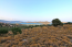 For sale:  land - Iraklion (crete) (4117-473) | Dom2000.com #24523011
