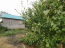 For sale:  home - СНТ Монолит, Volgograd city (10637-474) | Dom2000.com #77842220