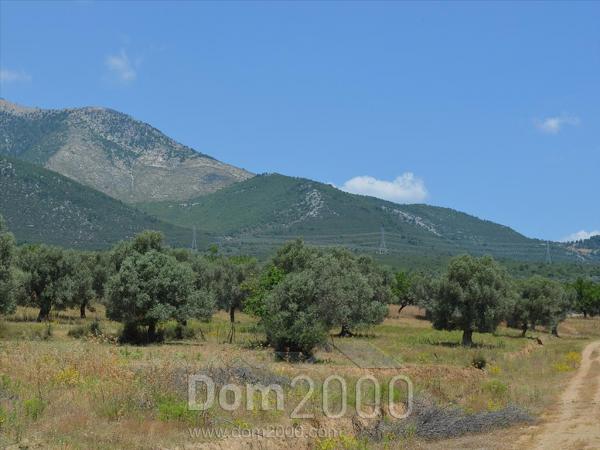 For sale:  land - Евія (7679-475) | Dom2000.com