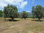 For sale:  land - Евія (7679-475) | Dom2000.com #51380266