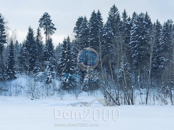 For sale:  land - д. Pushkino (10601-477) | Dom2000.com