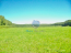 For sale:  land - коттеджный посёлок Шишкино-3, 222 str., Russia (10589-478) | Dom2000.com #76935674