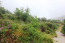 For sale:  land - Iraklion (crete) (4112-478) | Dom2000.com #24470242