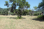 For sale:  land - Athos (4116-479) | Dom2000.com #24512638