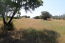 For sale:  land - Athos (4116-479) | Dom2000.com #24512642