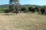 For sale:  land - Athos (4116-479) | Dom2000.com #24512643