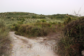 Продам земельный участок - Ираклио (Крит) (4110-480) | Dom2000.com