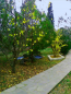 For sale:  home - Athos (4110-482) | Dom2000.com #24447540