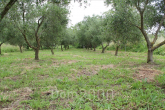 For sale:  land - Kerkyra (Corfu island) (7679-482) | Dom2000.com