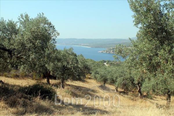 For sale:  land - Athos (4116-483) | Dom2000.com