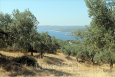 For sale:  land - Athos (4116-483) | Dom2000.com