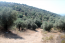 For sale:  land - Athos (4116-483) | Dom2000.com #24512651