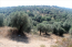 For sale:  land - Athos (4116-483) | Dom2000.com #24512653