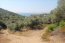 For sale:  land - Athos (4116-483) | Dom2000.com #24512654