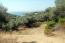 For sale:  land - Athos (4116-483) | Dom2000.com #24512655