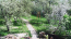 Lease home - Pirnove village (9711-485) | Dom2000.com #67489179