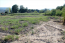 For sale:  land - Sithonia (4116-486) | Dom2000.com #24512688