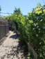 For sale:  home - Kirovograd city (9282-486) | Dom2000.com #63596926